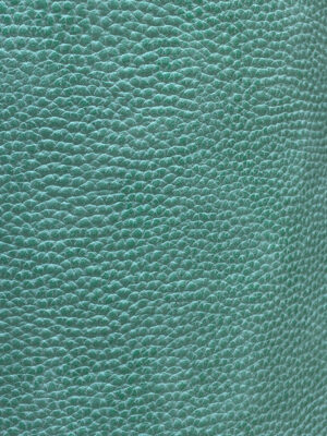 Magnum Aqua