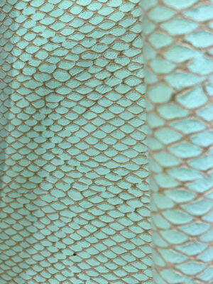 Squama Aqua