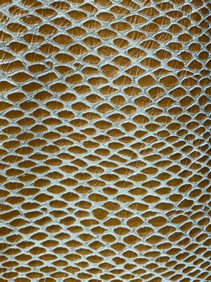 Squama Caramel