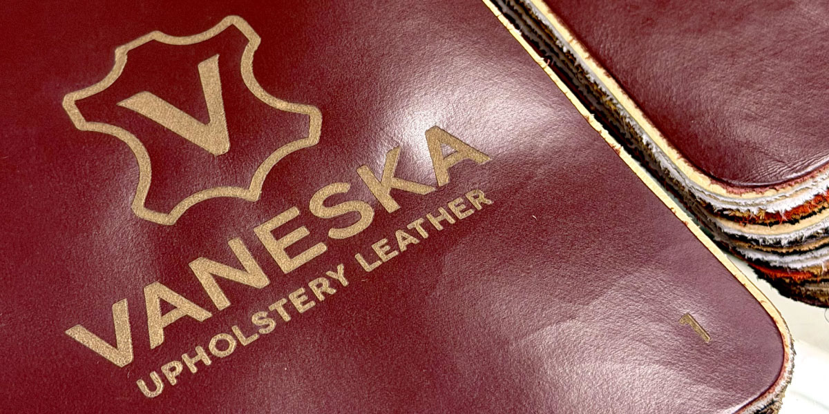 vaneska6